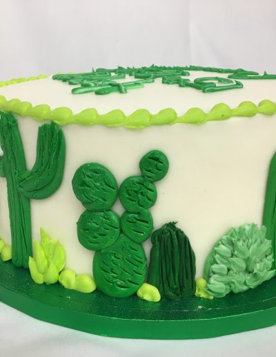 Cactus Cutie, Cake, Western, Desert, Mexican, Succulents, Cowboy, Birthday, Grooms, Cake, Jacksonville