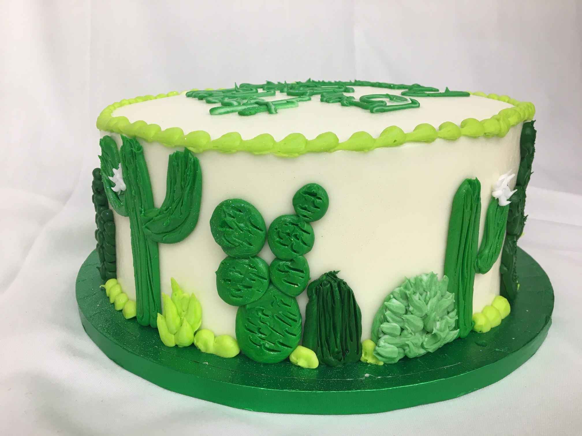 Un joyeux anniversaire (archive 1) - Page 19 Cactus-Cake-Western-Desert-Mexican-Succulents-Cowboy-Birthday-Grooms-Cake-Jacksonville