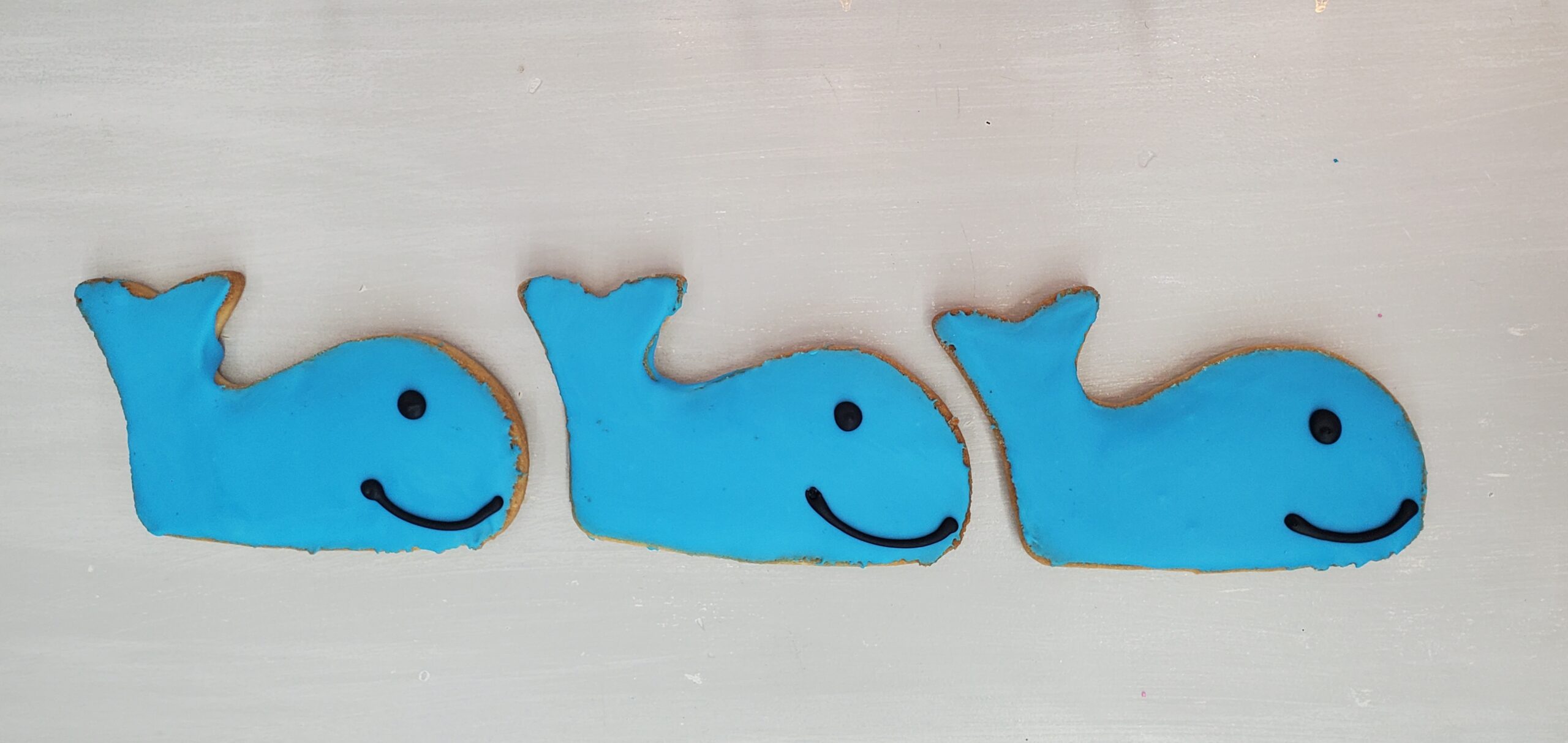 Whale Cookies, Baby Shower cookies, Underwater cookies, Jonah and the Whale, Cinottis Bakery, Jacksonville Beach