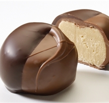 Irish Cream Chocolate Truffle