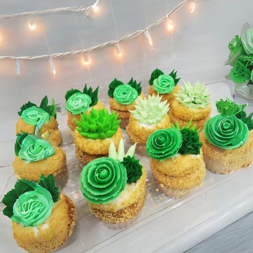 succulent cupcakes,<br />
