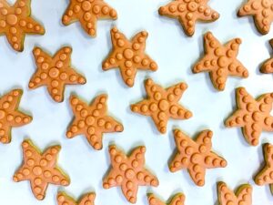 Starfish Cookie